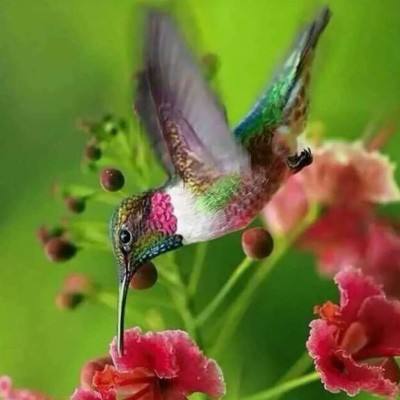 博鱼(boyu)·体育app下载