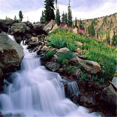 49图库资料免费大全资料澳门下载手机版截图