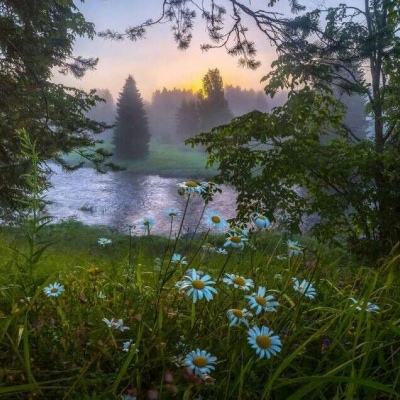 外围皇冠体育下载