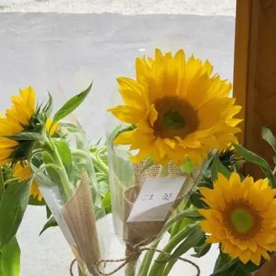 B sport官方下载入口