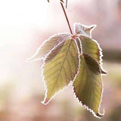 半岛手机综合体育官方下载安装